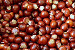 10 receptes amb castanyes