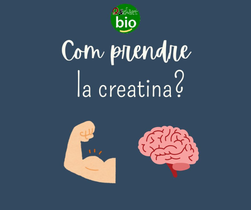Com prendre la creatina